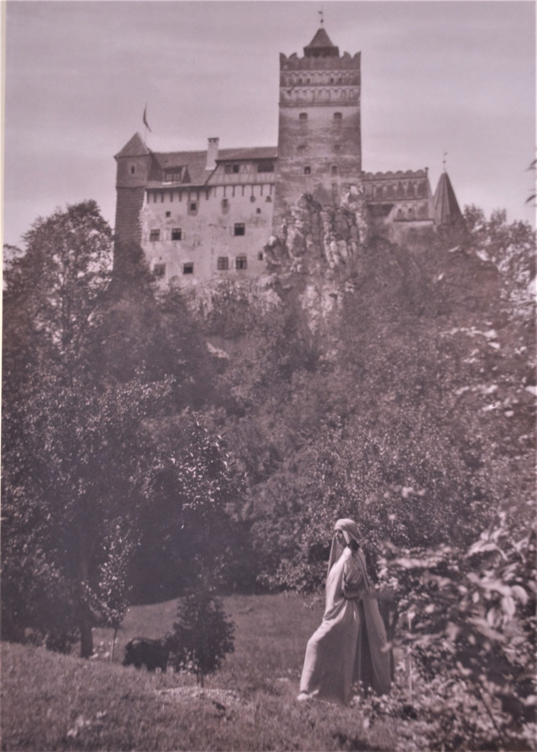 Regina Maria în grădina cu flori a Castelului Bran <br /> Sursă foto: Arhivele Naționale ale României